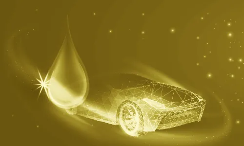 09 ΕΙΔΙΚΑ 500x300 yellow converted from png